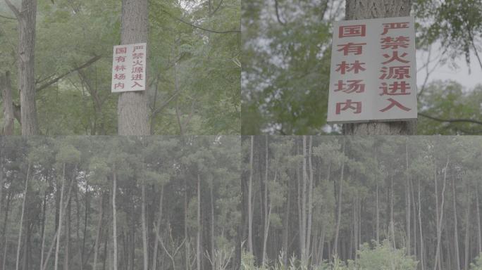 森林防火标识标牌+未调色