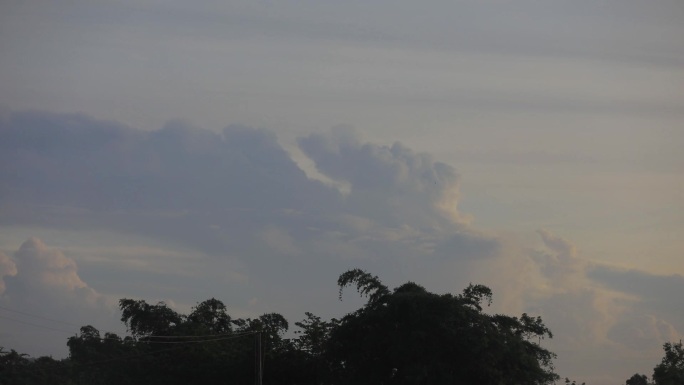 清晨 天空 露珠 生命