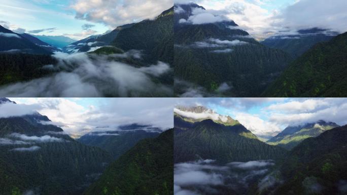 5K-高黎贡山云海，独龙江大峡谷云海