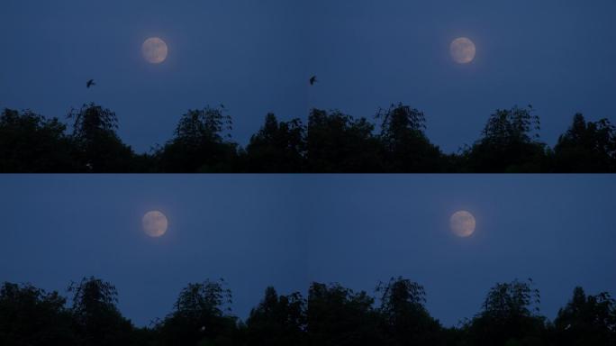 农村傍晚、月亮