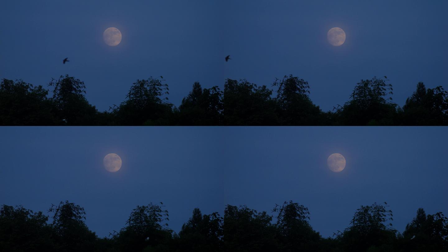 农村傍晚、月亮