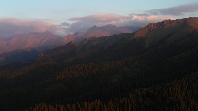 夕阳下的新疆天山草原牧场森林航拍4K