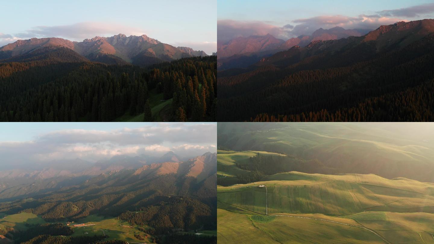 夕阳下的新疆天山草原牧场森林航拍4K