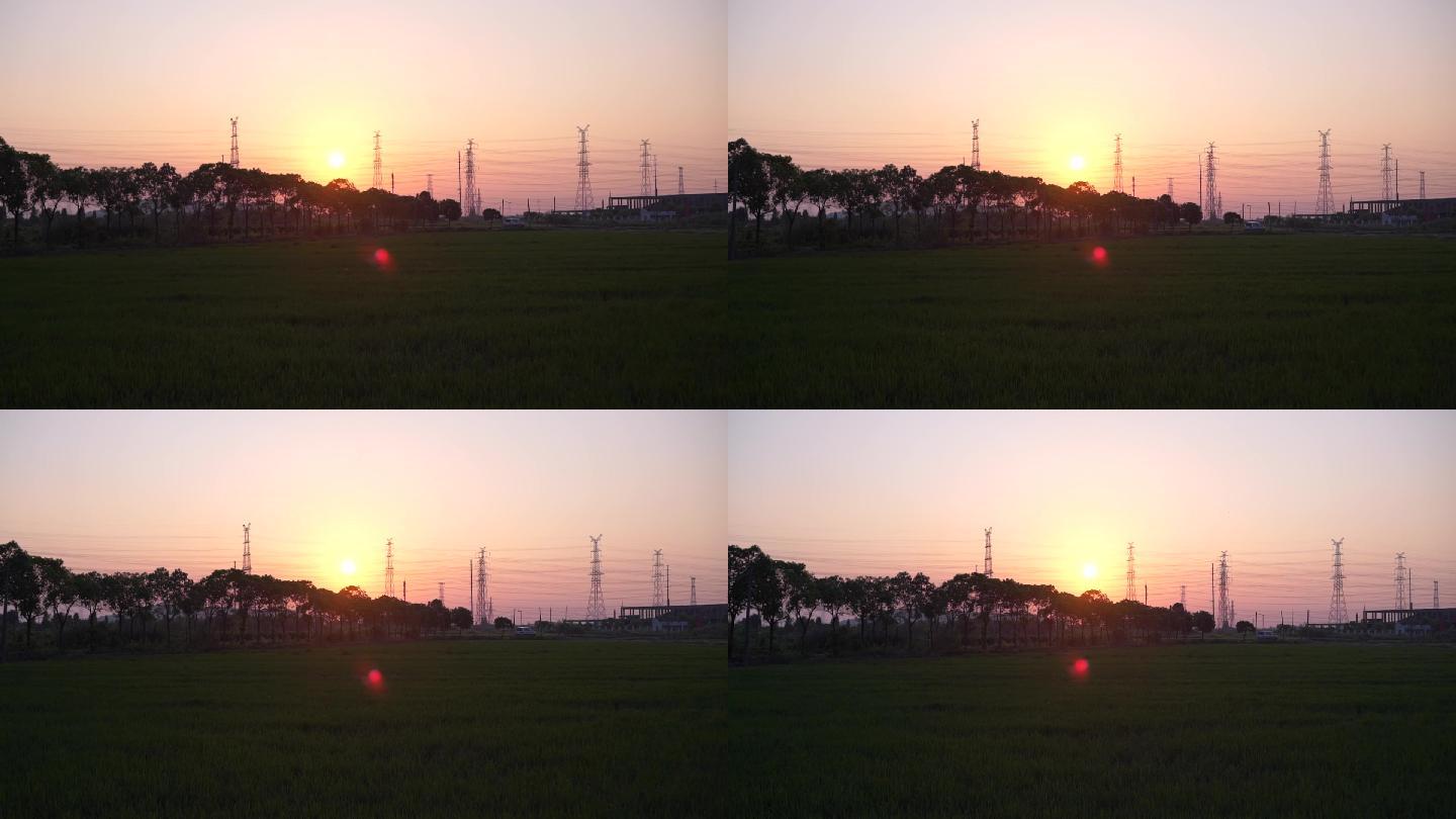 稻田的日落