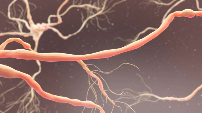 医学动画神经细胞三维动画视频素材