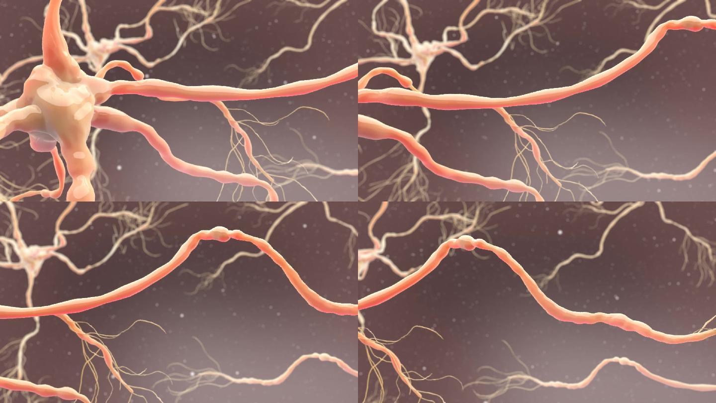 医学动画神经细胞三维动画视频素材