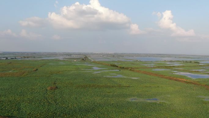 洪泽湖湿地风光