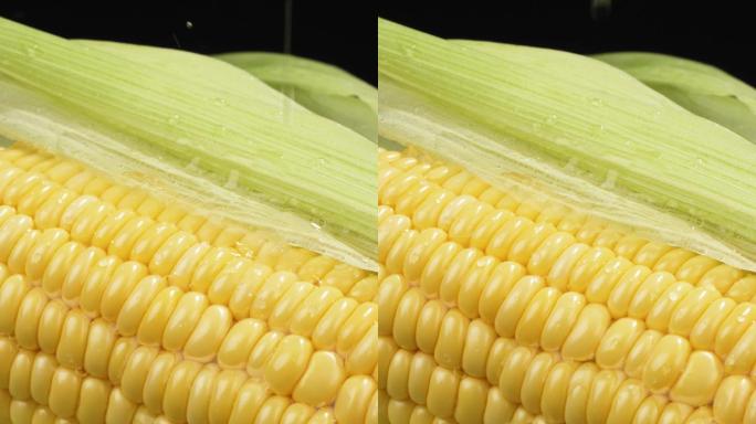 新鲜的玉米-竖屏美食4K慢动作镜头素材