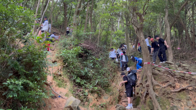 夜晚成群登山的人群13