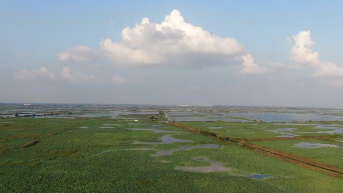 洪泽湖湿地风光