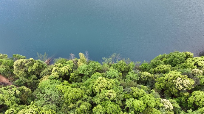 航拍山水浙江青山绿水竹林竹山水库水面