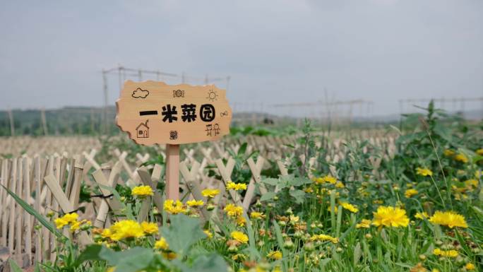 4K实拍田园农村 乡村生活一米菜园