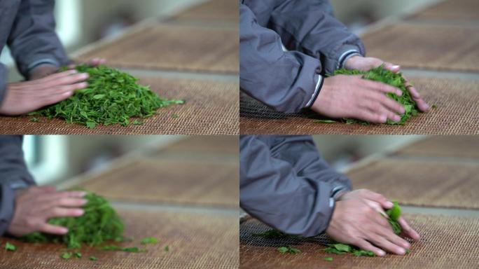 浙江绍兴茶叶红茶揉捻手特写