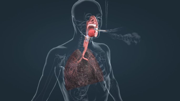 三维人体解剖吸烟展示过程黑色肺叶肺癌