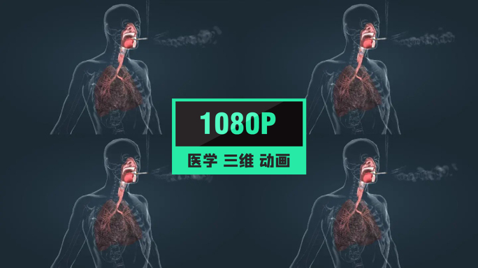 吸烟对肺的影响吸烟危害肺癌人体三维动画