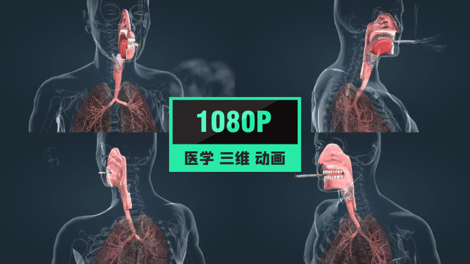 拒接吸烟对肺的影响吸烟危害肺癌人体动画
