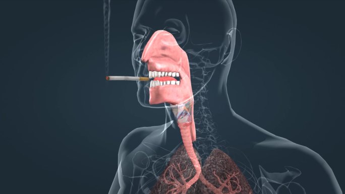 吸烟有害健康肺癌黑肺医学科普宣传三维动画