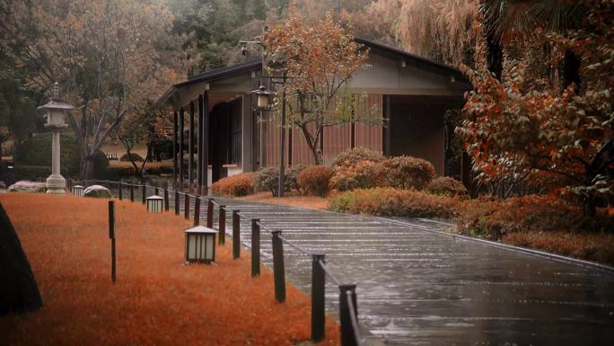 秋季雨景公园庭院特写