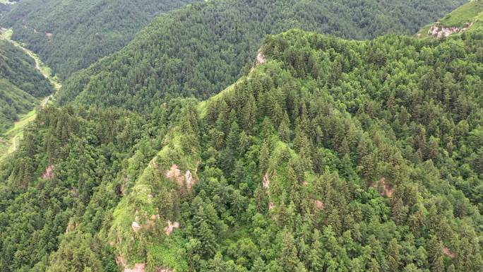 大同龙山高山黄土高原绿化自然航拍常规视频