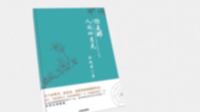 2025书本片头+书本转场