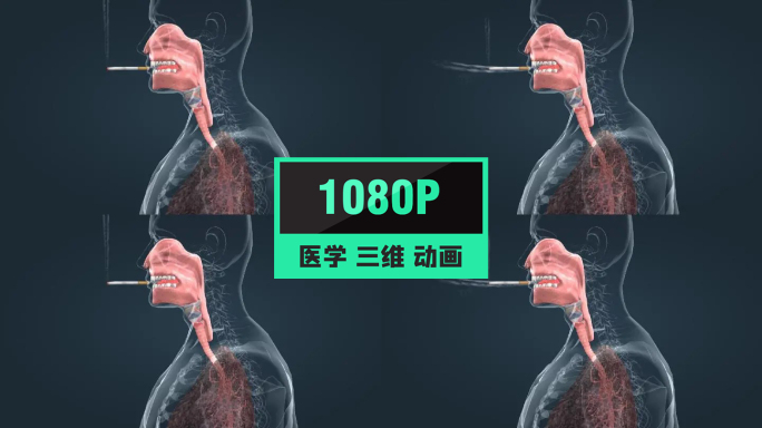 人体吸烟肺部病变过程对人体危害3D动画