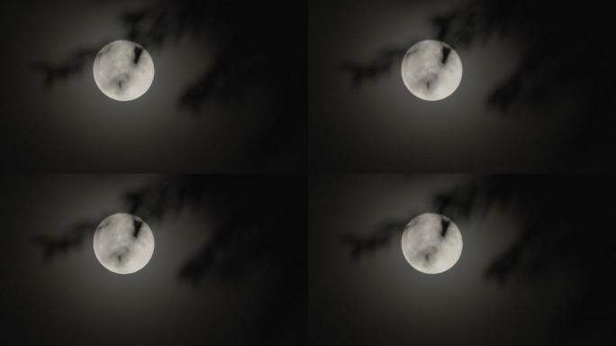 月亮 月光 唯美月色