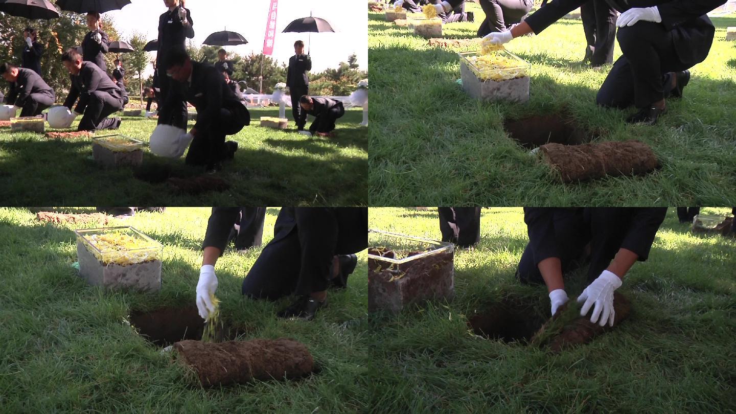 公墓节约用地生态安葬献花