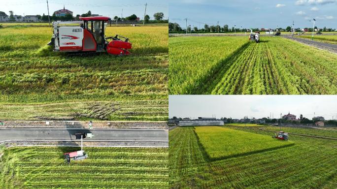 航拍丰收季节机械收割机稻田收割2