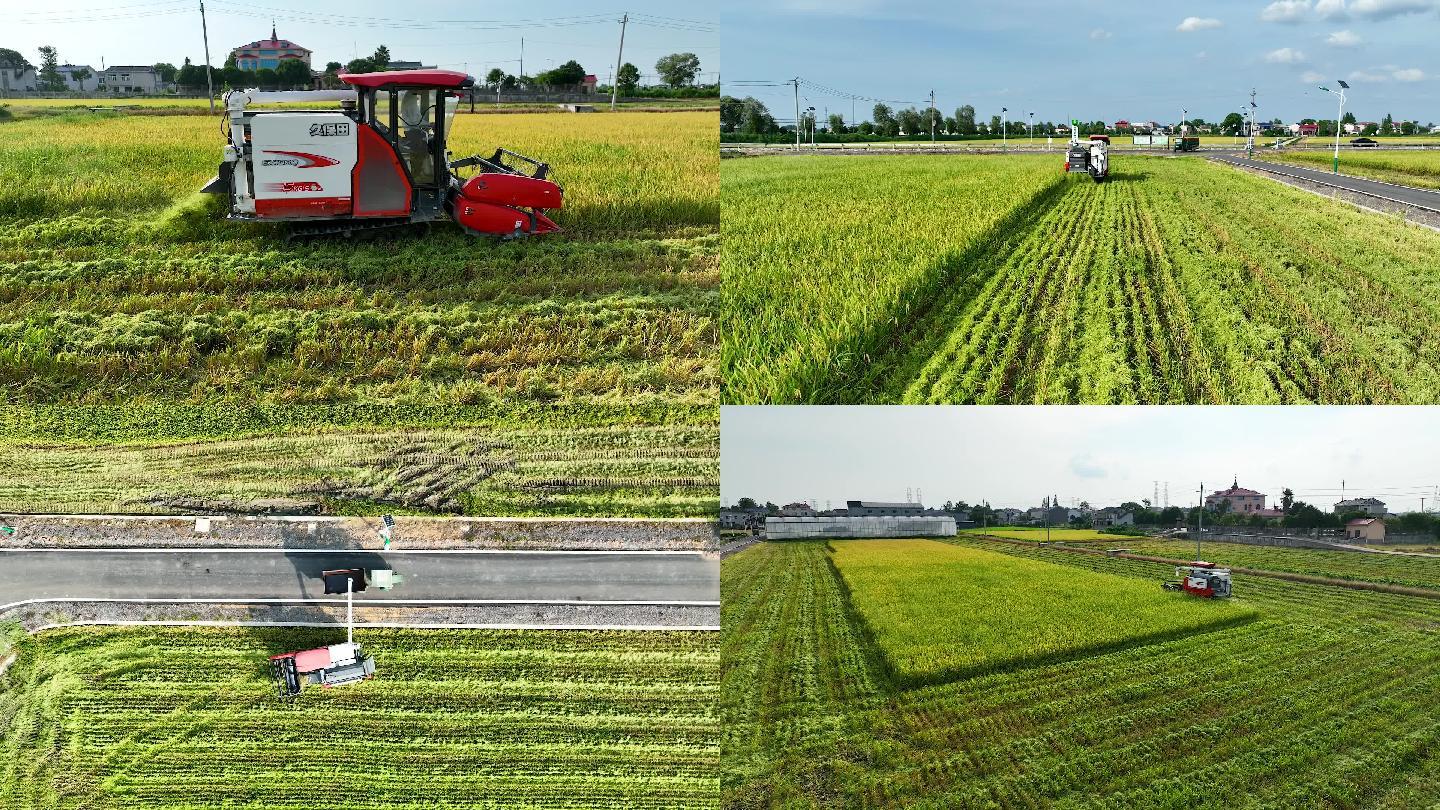 航拍丰收季节机械收割机稻田收割2