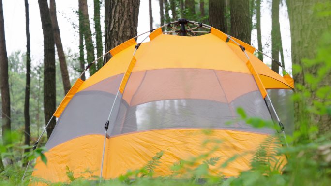 森林公园露营帐篷+已调色