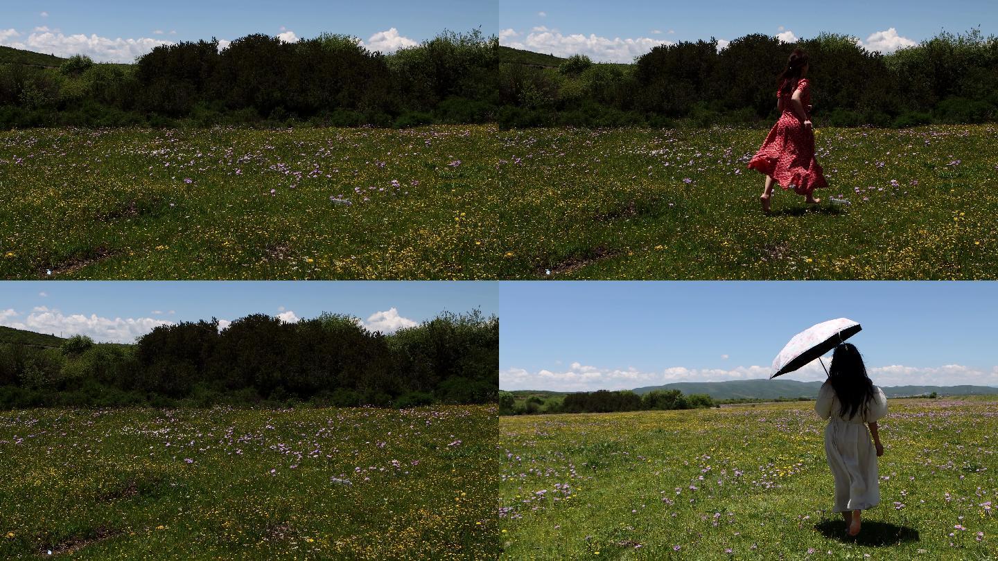奔跑在开满野花的草地上