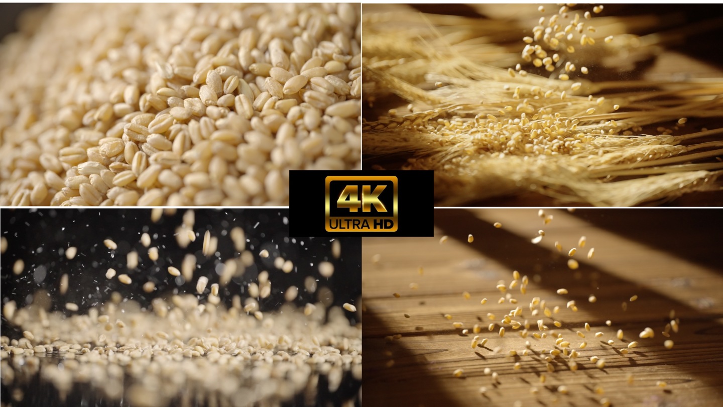小麦谷物粮食4k