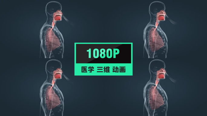 人体呼吸系统肺部肺气肿三维动画演示