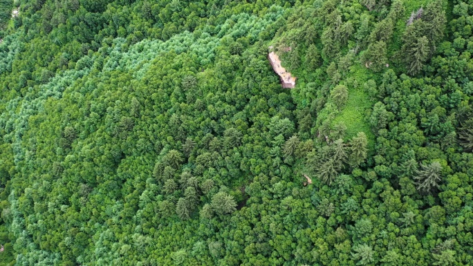 大同龙山高山黄土高原绿化自然航拍常规视频