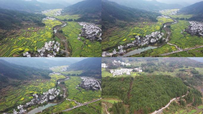 婺源油菜花梯田航拍