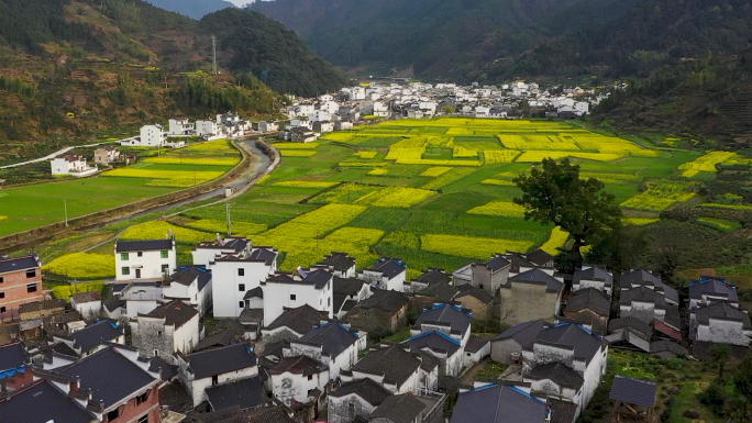 婺源古村油菜花海航拍