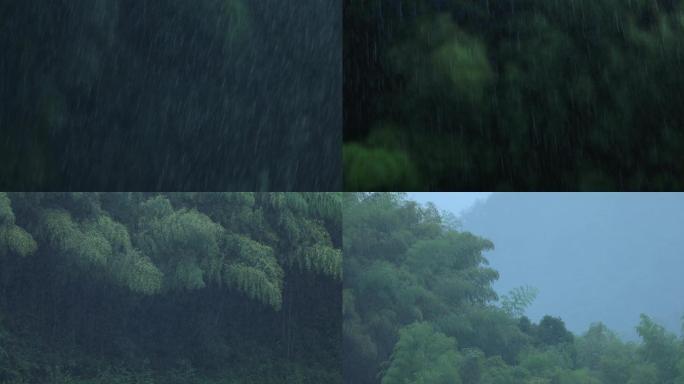 雨天竹林4K