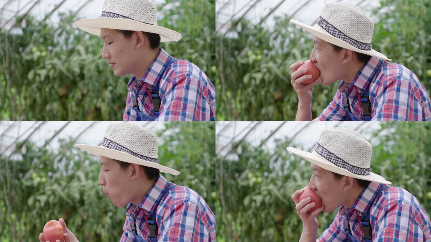 实拍新农人年轻小伙开心的吃西红柿