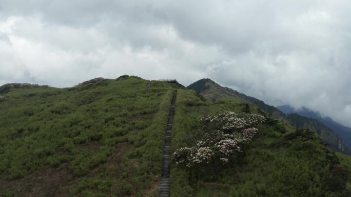 神农架神农顶神农谷景区山峦云海航拍风景