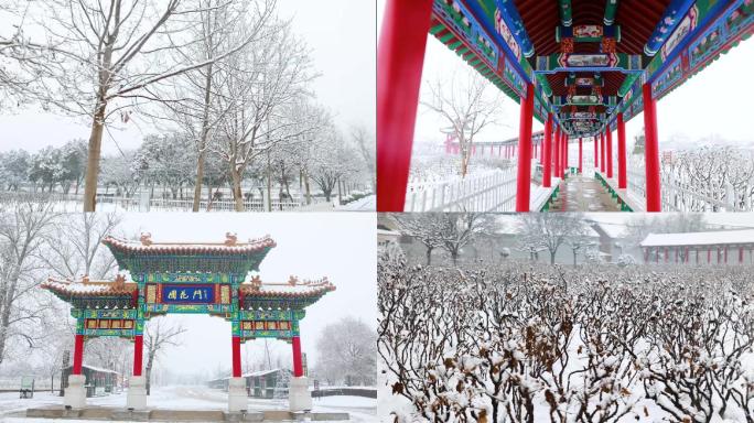 牡丹园雪景