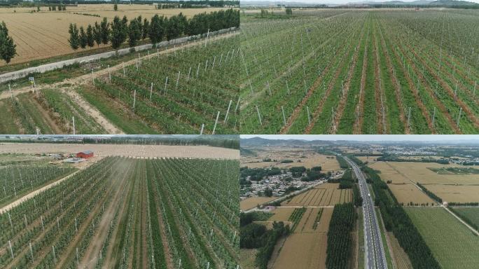 航拍乡村农田喷淋国道公路