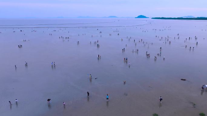 航拍合肥夏季高温天气下巢湖夏日天然浴场