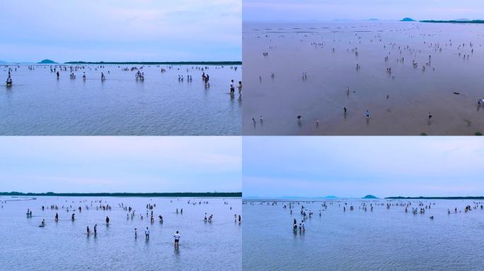 航拍合肥夏季高温天气下巢湖夏日天然浴场