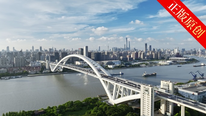 卢浦大桥 上海世博文化园 陆家嘴 黄浦江