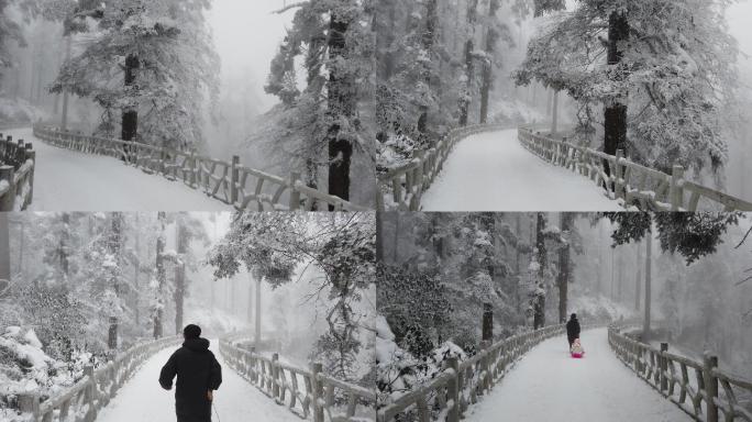 四川洪雅瓦屋山冰雪风光