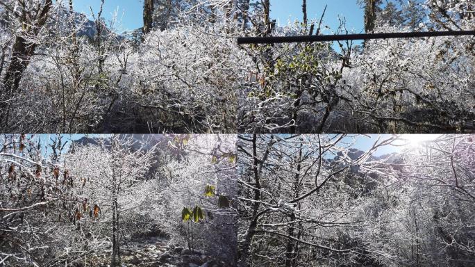 四川洪雅瓦屋山冰雪风光