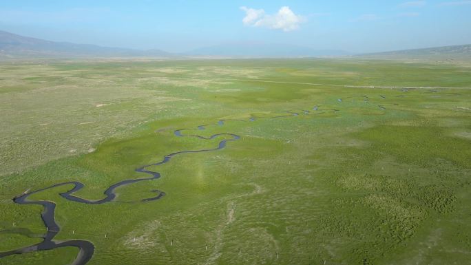 青海 青海湖 大片油菜花  草地 河流