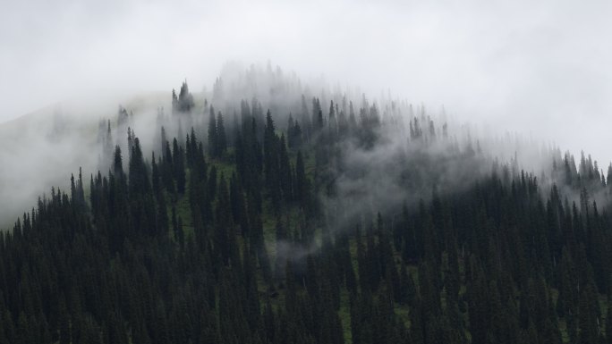 伊犁那拉提风景