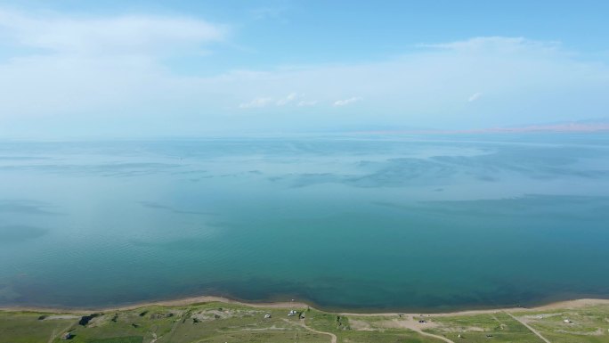 青海 青海湖 大片油菜花  航拍5