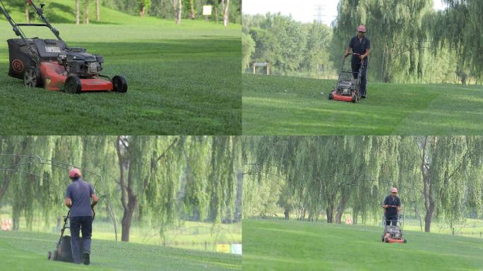公园工人割草机割草